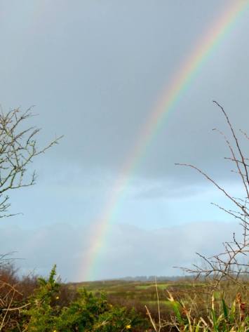 10906032_10204579422158976_5134423245426175622_n