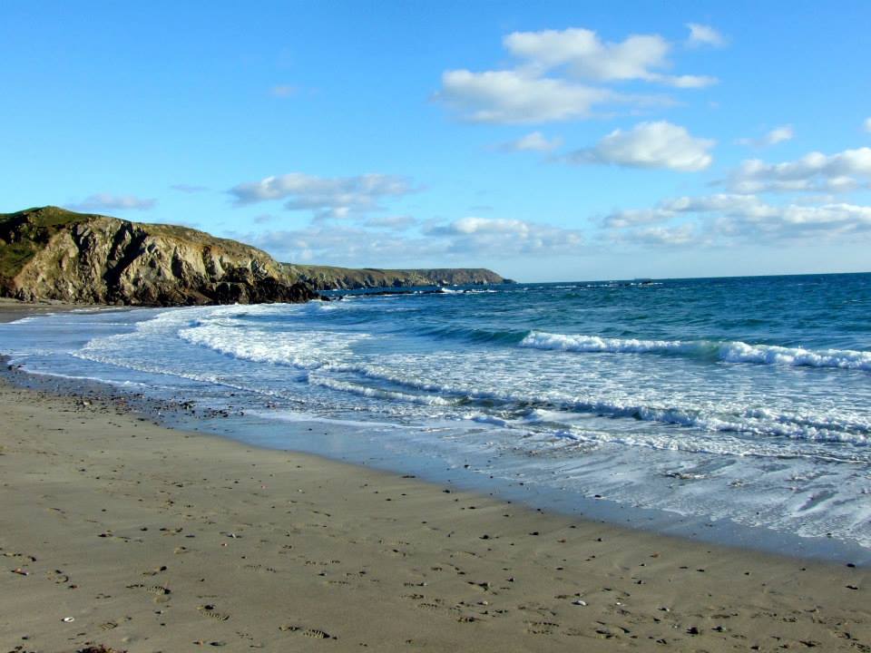 1601583_10204579442679489_7347619832822658962_n