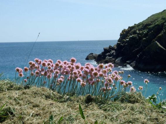 333891_2159901370541_2996935_o