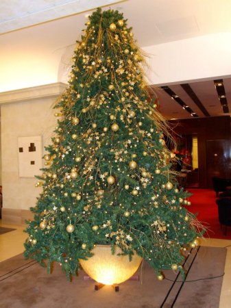 580632_4701216581833_2093769821_n