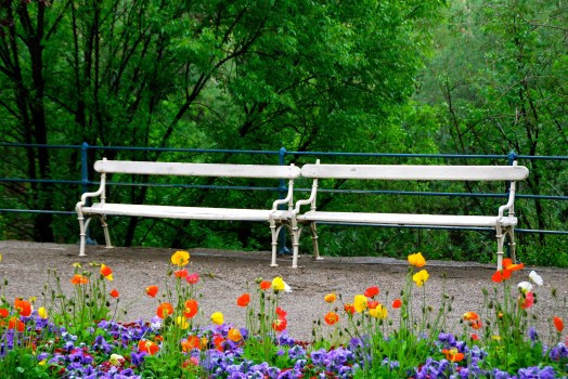 Benches FullSizeRender copy 2