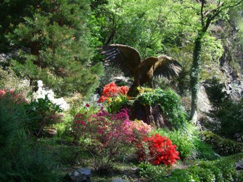 cool privet eagle11150408_10205437446289043_2502892536781775134_n