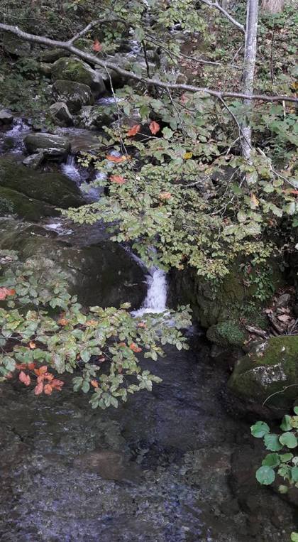 mountain stream Reit-im-W