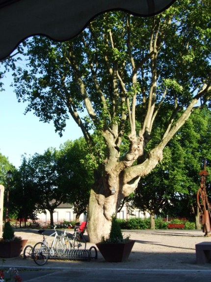 Turkheim qz5GyvVmRAiG1w9e6pYCFA_thumb_1e28