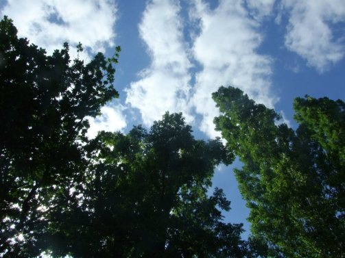 Look up and breathe.France 2012