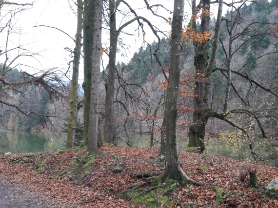 Geierstein 2 9th November 2017. Route 611 frm Lenggries