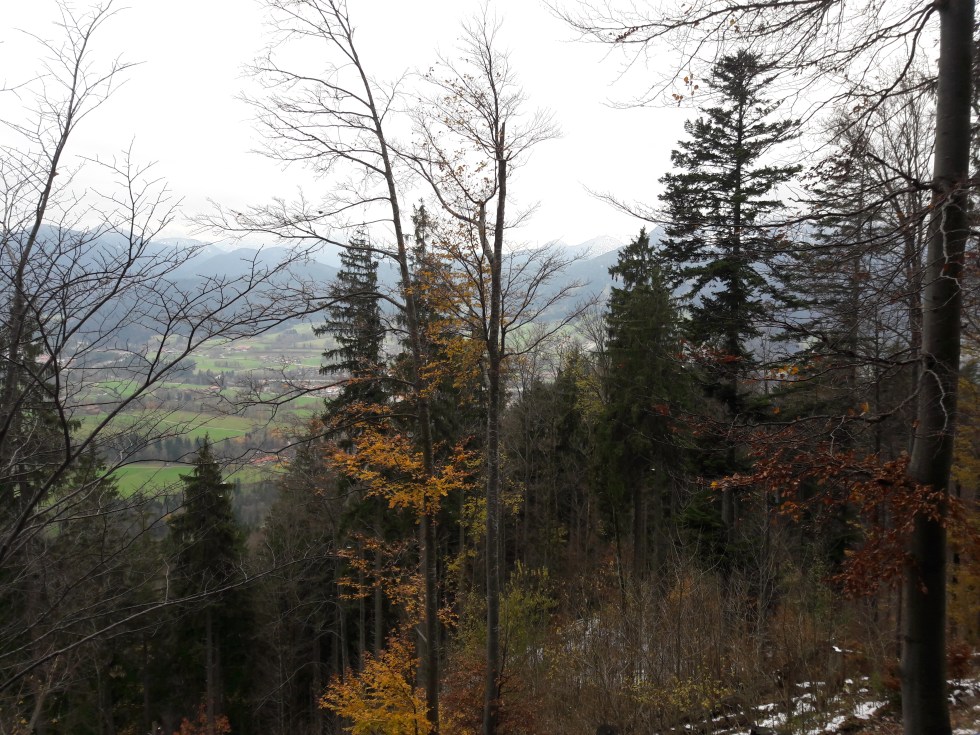 Some good views opening out. Geierstein 9th November 2017. Route 611 from Lenggries