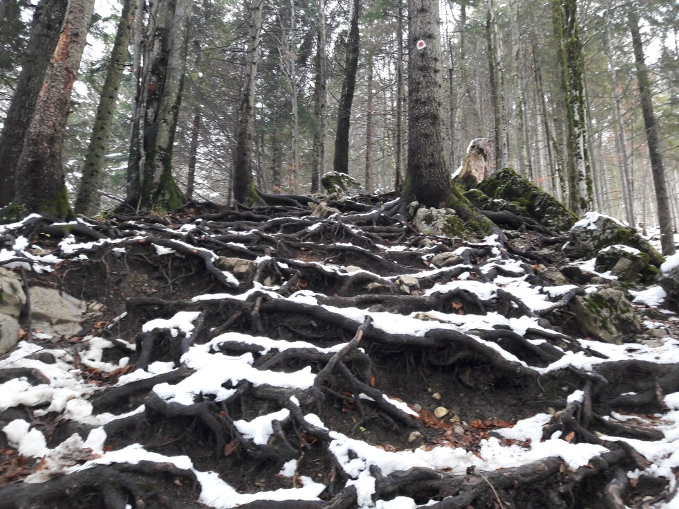 The turning back point. Geierstein. 9th November 2017. Route 611 frm Lenggries