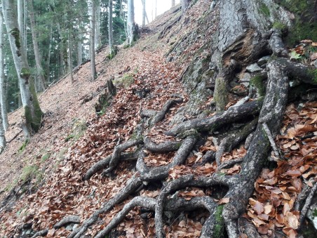 Tricky path.Geierstein. 9th November 2017. Route 611 frm Lenggries